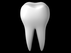 正しい歯並びは将来の健康に繋がります